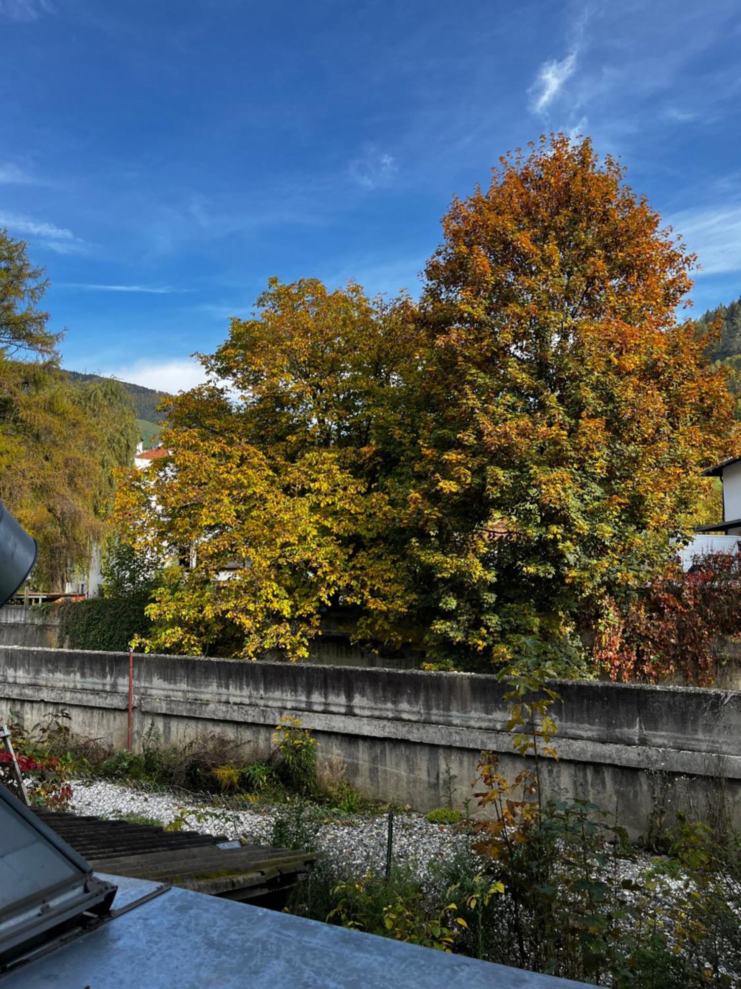 Gasthof Sterzingerhof Eksteriør bilde